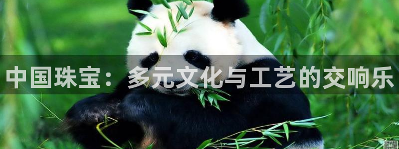 开丰娱乐于六七五一38：中国珠宝：多元文化与工艺的交响乐