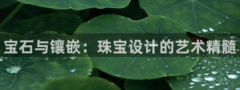 开丰娱乐上：宝石与镶嵌：珠宝设计的艺术精髓