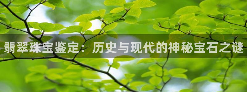 开丰娱乐月