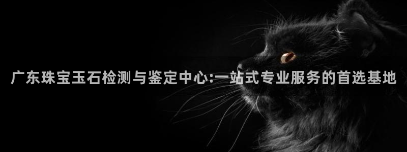 开丰娱乐平台登录：广东珠宝玉石检测与鉴定中心:一站式专业服务的首选基地