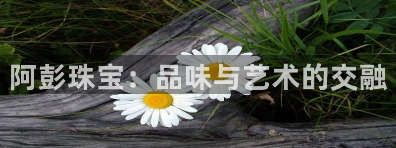 开丰娱乐主管家去判官333OO：阿彭珠宝：品味与艺术的交融