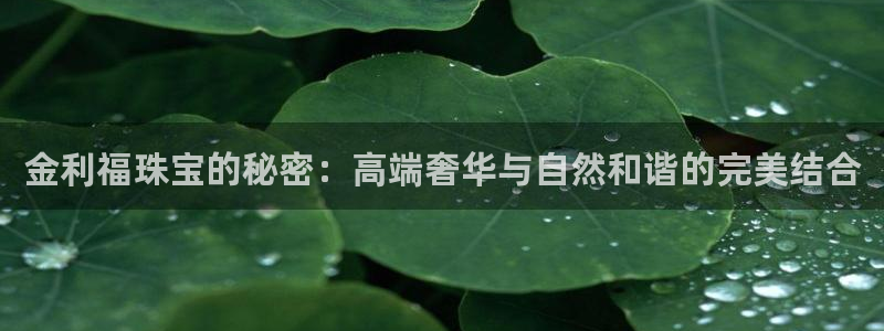 开丰娱乐平台地址