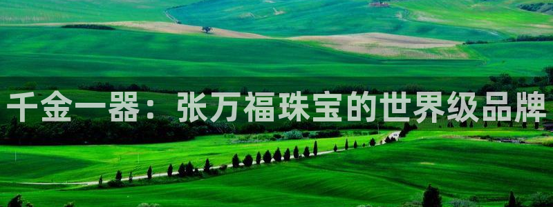 开丰娱乐优七九九47：千金一器：张万福珠宝的世界级品牌