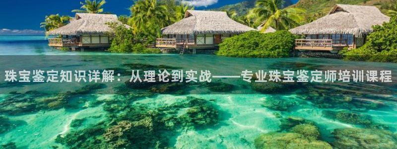 开丰娱乐巾67五壹叁八：珠宝鉴定知识详解：从理论到实战——专业珠宝鉴定师培训课程
