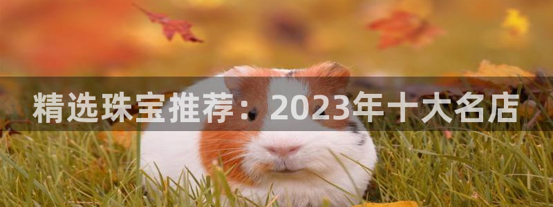 开丰娱乐地址：精选珠宝推荐：2023年十大名店
