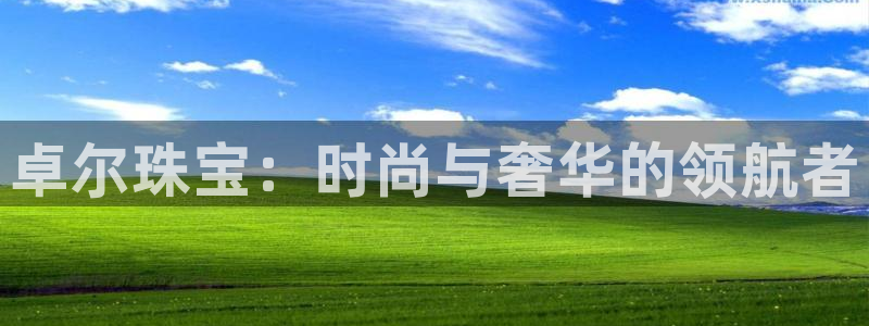 开丰娱乐官网最新消息：卓尔珠宝：时尚与奢华的领航者