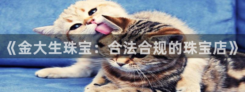 开丰娱乐平台注册时间：《金大生珠宝：合法合规的珠宝店》
