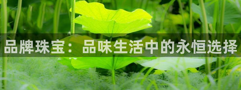 开丰娱乐千67五壹叁八：品牌珠宝：品味生活中的永恒选择