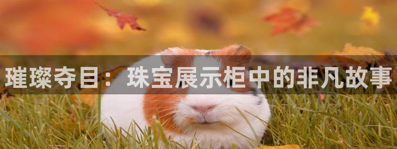 开丰娱乐平台官网网址：璀璨夺目：珠宝展示柜中的非凡故事