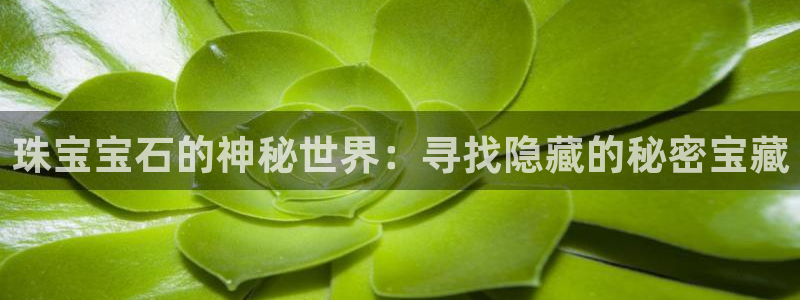 开丰娱乐若七九九：珠宝宝石的神秘世界：寻找隐藏的秘密宝藏