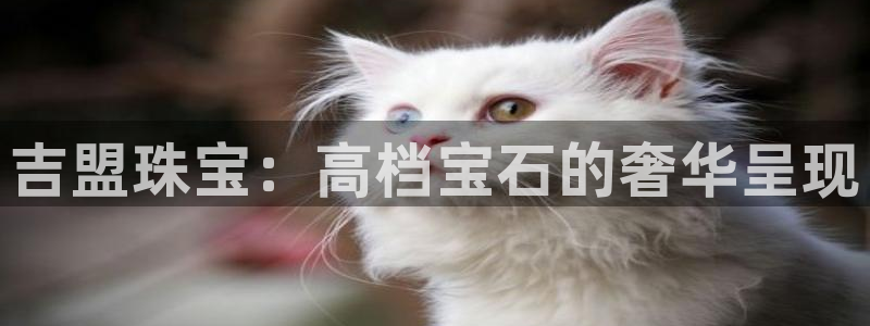 开丰娱乐网站官网首页：吉盟珠宝：高档宝石的奢华呈现