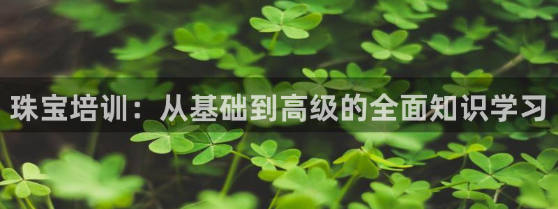 开丰娱乐下载安装：珠宝培训：从基础到高级的全面知识学习
