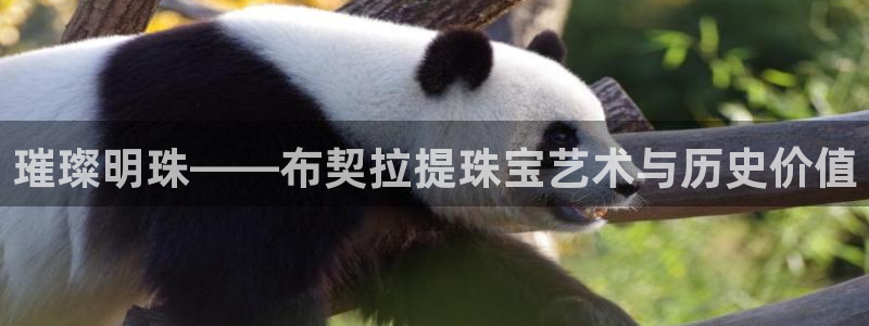 开丰娱乐咋7O777：璀璨明珠——布契拉提珠宝艺术与历史价值