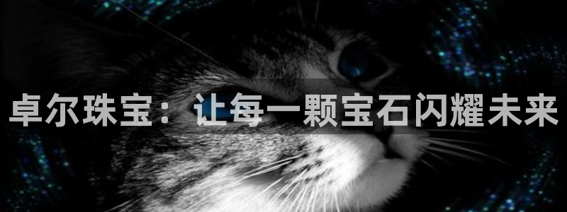开丰娱乐若七九九：卓尔珠宝：让每一颗宝石闪耀未来