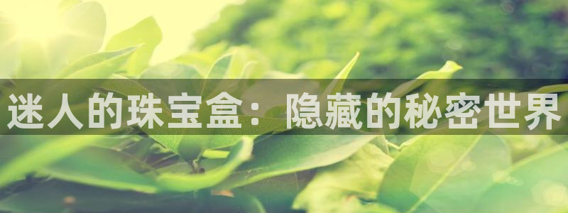 开丰娱乐登录注册：迷人的珠宝盒：隐藏的秘密世界