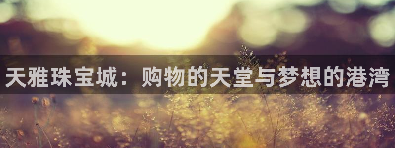 开丰娱乐前：天雅珠宝城：购物的天堂与梦想的港湾