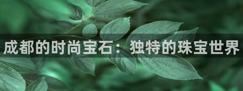 开丰娱乐登陆：成都的时尚宝石：独特的珠宝世界