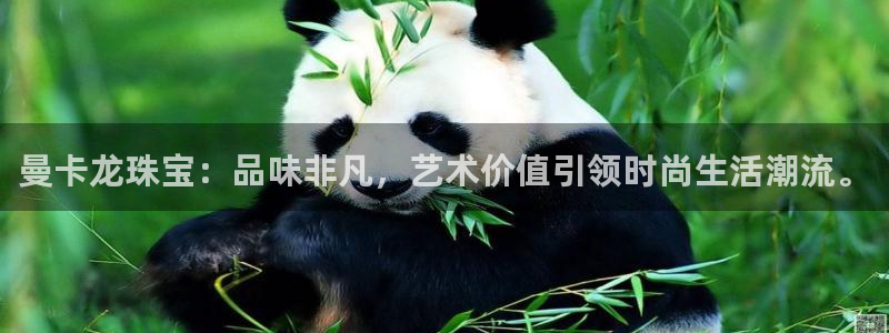 开丰娱乐官网：曼卡龙珠宝：品味非凡，艺术价值引领时尚生活潮流。