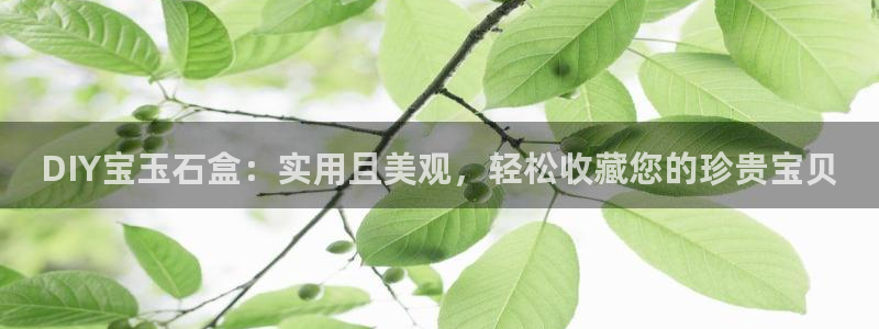 开丰娱乐趣 7O935：DIY宝玉石盒：实用且美观，轻松收藏您的珍贵宝贝