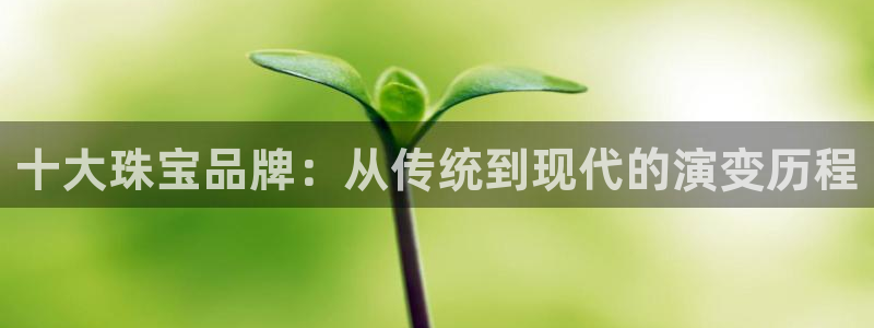 开丰娱乐若七九九：十大珠宝品牌：从传统到现代的演变历程