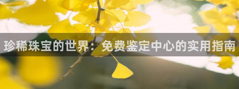开丰娱乐上：珍稀珠宝的世界：免费鉴定中心的实用指南