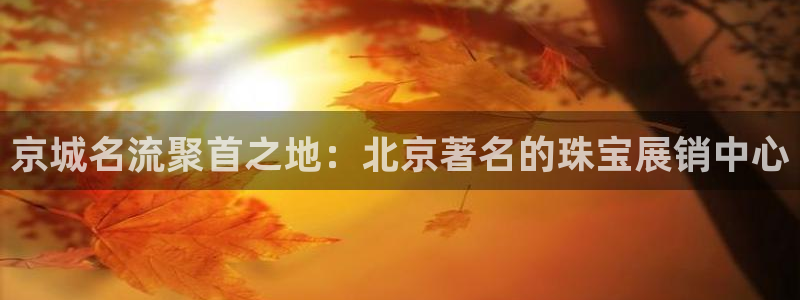 开丰娱乐后：京城名流聚首之地：北京著名的珠宝展销中心