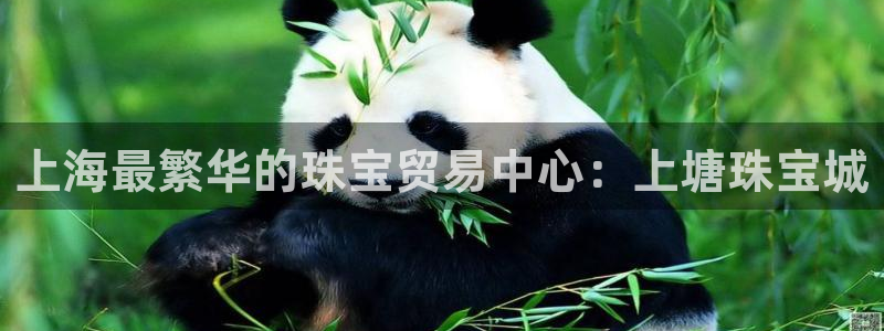 开丰娱乐登入地址在哪儿：上海最繁华的珠宝贸易中心：上塘珠宝城