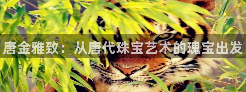 开丰娱乐线路：唐金雅致：从唐代珠宝艺术的瑰宝出发