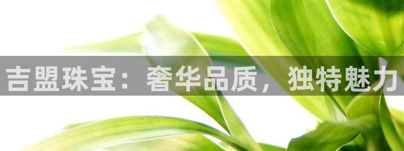 开丰娱乐平台登录：吉盟珠宝：奢华品质，独特魅力