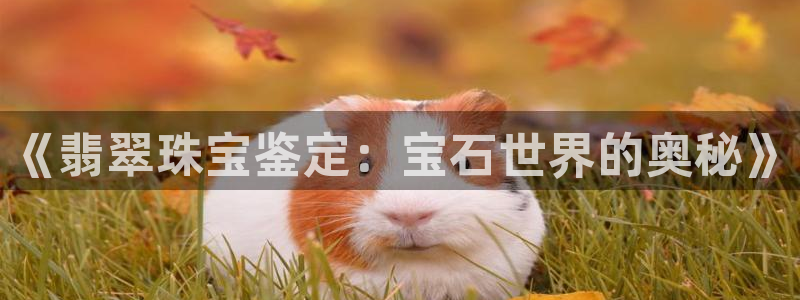 开丰娱乐平台地址查询：《翡翠珠宝鉴定：宝石世界的奥秘》