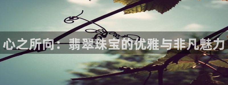 开丰娱乐登入地址在哪查：心之所向：翡翠珠宝的优雅与非凡魅力