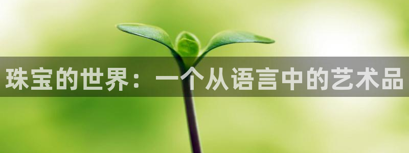 开丰娱乐67 5138：珠宝的世界：一个从语言中的艺术品