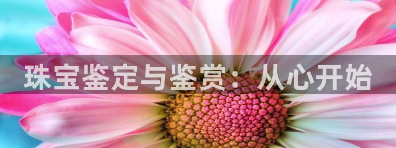 开丰娱乐登录网址：珠宝鉴定与鉴赏：从心开始