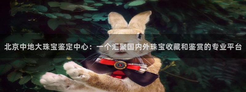 开丰娱乐官网平台下载：北京中地大珠宝鉴定中心：一个汇聚国内外珠宝收藏和鉴赏的专业