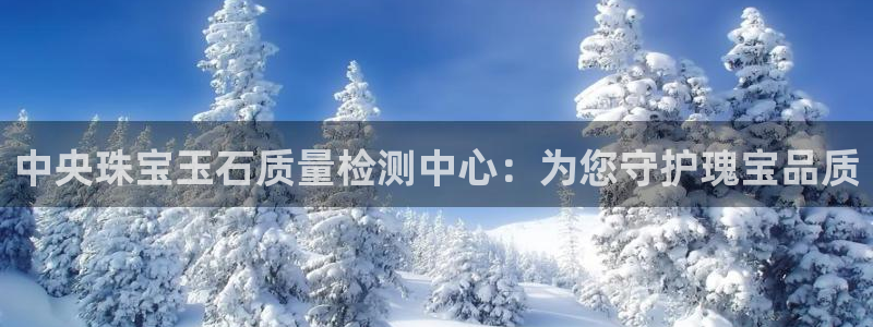 开丰娱乐登录平台下载：中央珠宝玉石质量检测中心：为您守护瑰宝品质