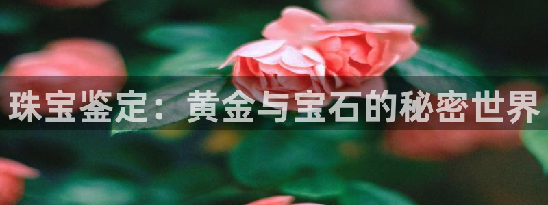 开丰娱乐上7O667：珠宝鉴定：黄金与宝石的秘密世界