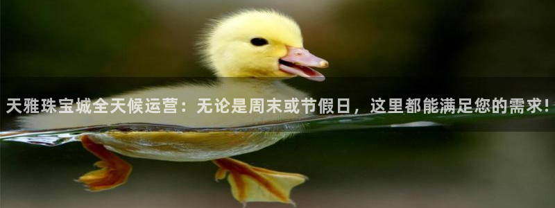 开丰娱乐平台提现失败：天雅珠宝城全天候运营：无论是周末或节假日，这里都能满足您的