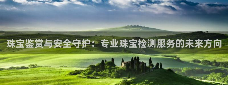 开丰娱乐2登录：珠宝鉴赏与安全守护：专业珠宝检测服务的未来方向
