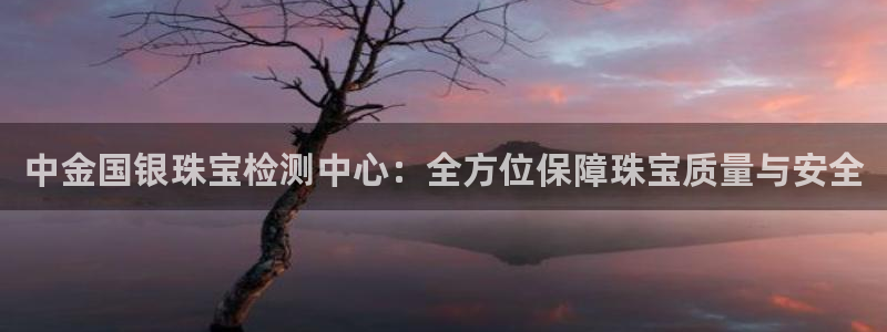 开丰娱乐万六七五一38：中金国银珠宝检测中心：全方位保障珠宝质量与安全