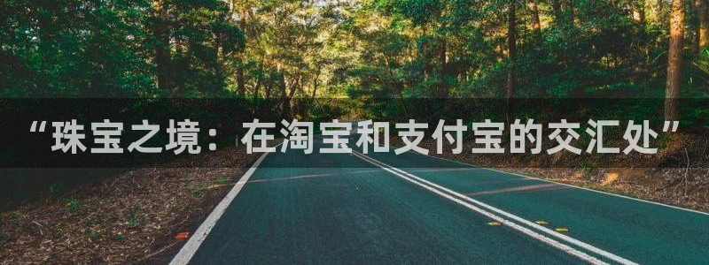 开丰娱乐app：“珠宝之境：在淘宝和支付宝的交汇处”