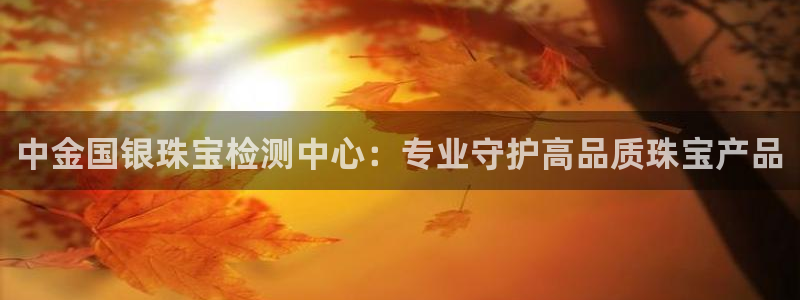 开丰娱乐地址查询：中金国银珠宝检测中心：专业守护高品质珠宝产品