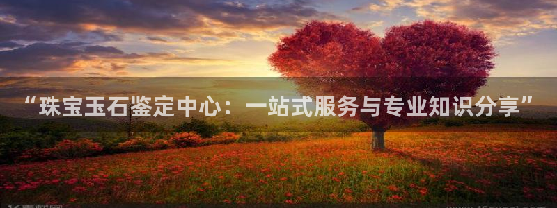 开丰娱乐注册登录不了：“珠宝玉石鉴定中心：一站式服务与专业知识分享”