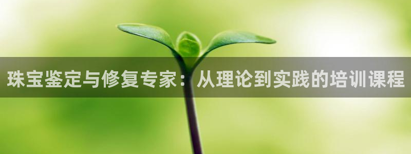 开丰娱乐平台注册地址：珠宝鉴定与修复专家：从理论到实践的培训课程