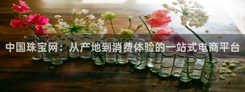 开丰娱乐注册登录不了：中国珠宝网：从产地到消费体验的一站式电商平台