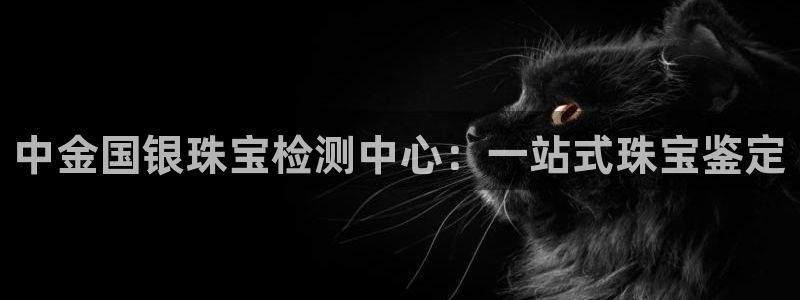 开丰娱乐官网平台下载：中金国银珠宝检测中心：一站式珠宝鉴定