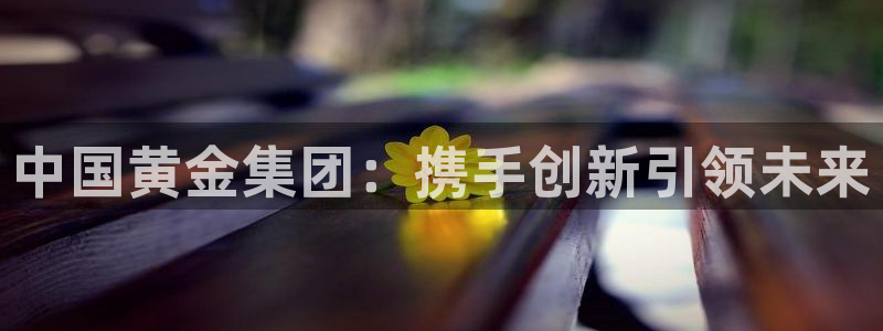 开丰娱乐网站官网首页：中国黄金集团：携手创新引领未来