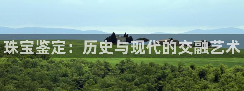 开丰娱乐网站：珠宝鉴定：历史与现代的交融艺术