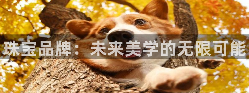 开丰娱乐于六七五一38：珠宝品牌：未来美学的无限可能