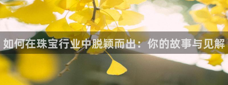 开丰娱乐乙833_43：如何在珠宝行业中脱颖而出：你的故事与见解