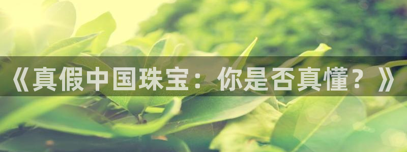 开丰娱乐平台地址在哪里：《真假中国珠宝：你是否真懂？》